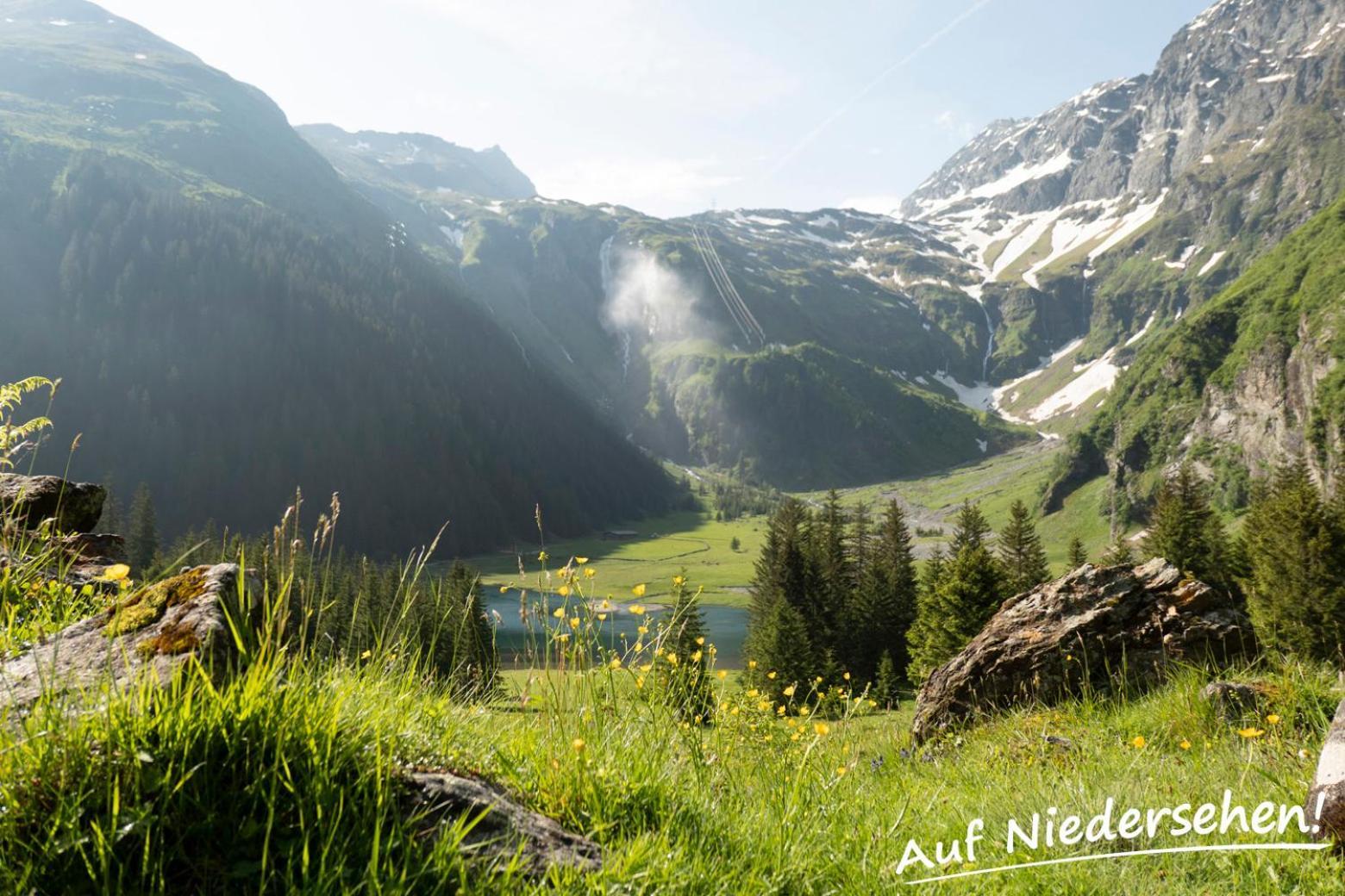 Ferienwohnung Auf Niedersehen - 8 Personen - Kitzbuehler Alpen - Hoehe Tauern Np Hollersbach im Pinzgau Esterno foto